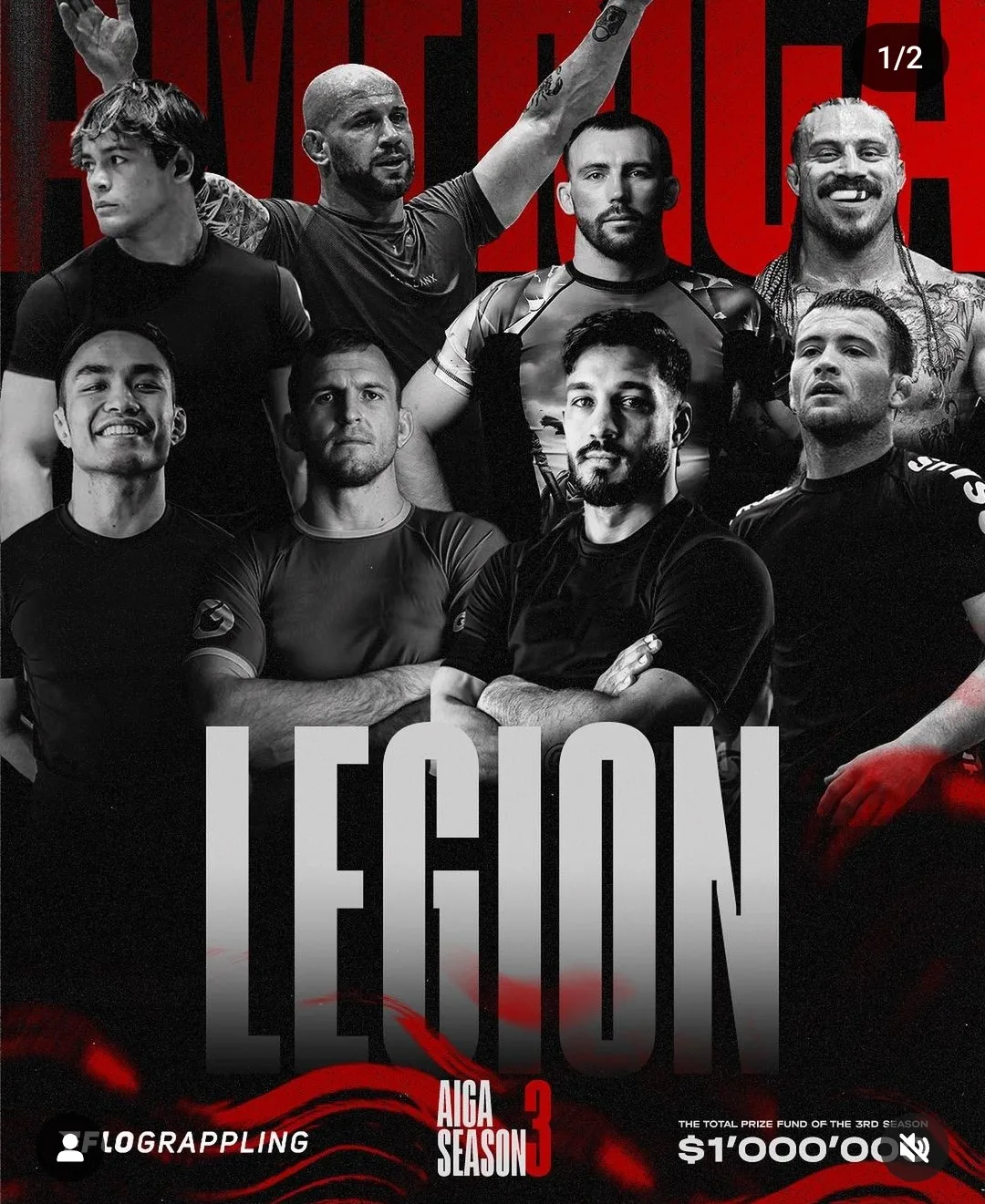 The Legion Team Going to AIGA Champions League Qualifiers ($1mil prize pool)