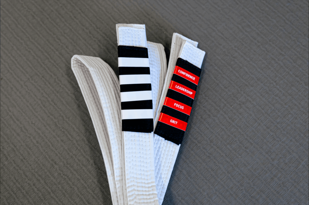 Legion Kids Program Promotion Guide 3 Legion AJJ Belt Stripes